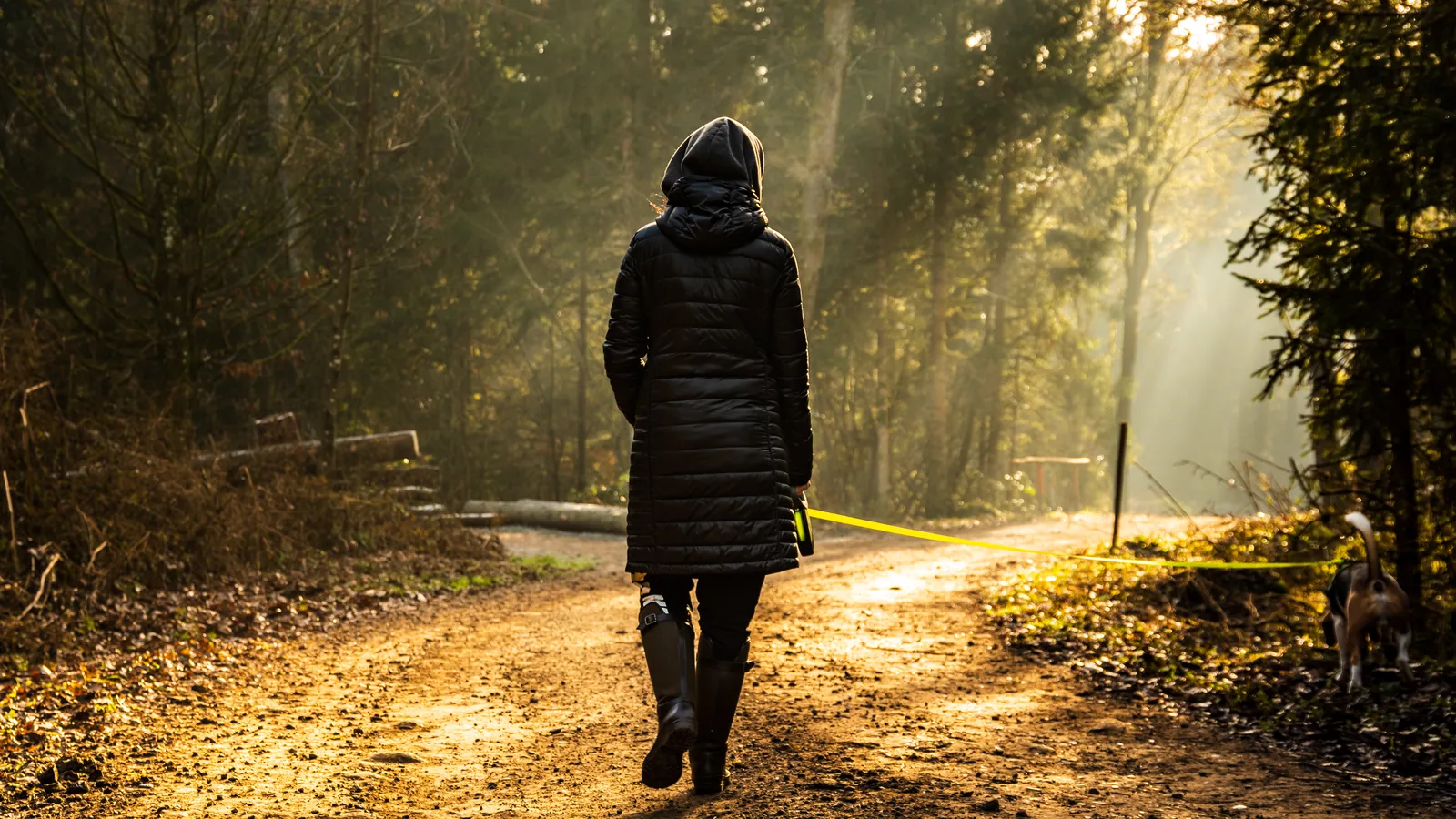 A woman walking a dog along a forest path with low morning sun coming through the trees.