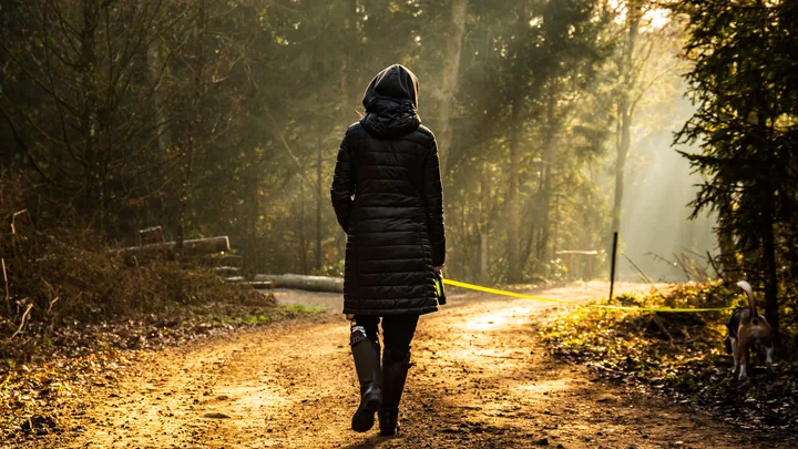 A woman walking a dog along a forest path with low morning sun coming through the trees.